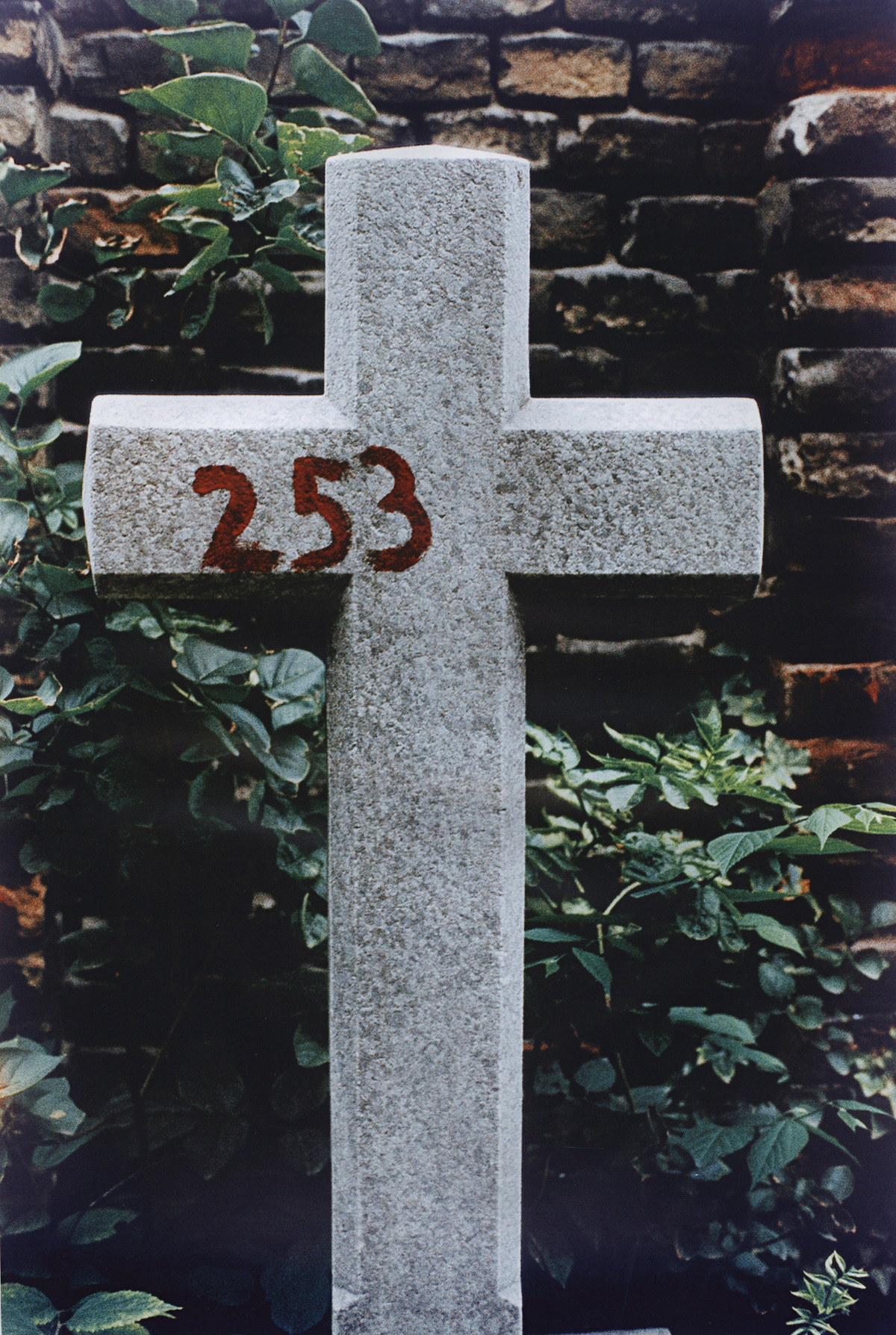 Ján Budaj, Ondrejský cintorín. 1981. Súkromný majetok